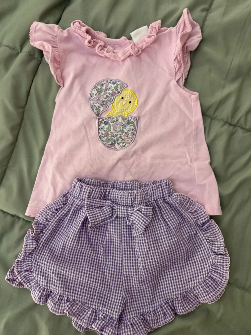 Girls Pink Chick Applique Top with Purple Gingham Shorts - Matching Set